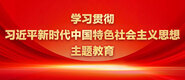 骚涩香蕉网址学习贯彻习近平新时代中国特色社会主义思想主题教育_fororder_ad-371X160(2)